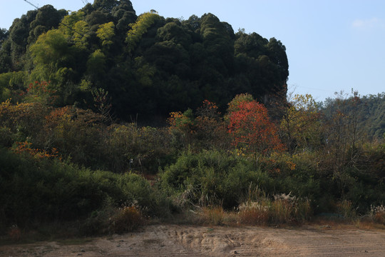 秋季的山野