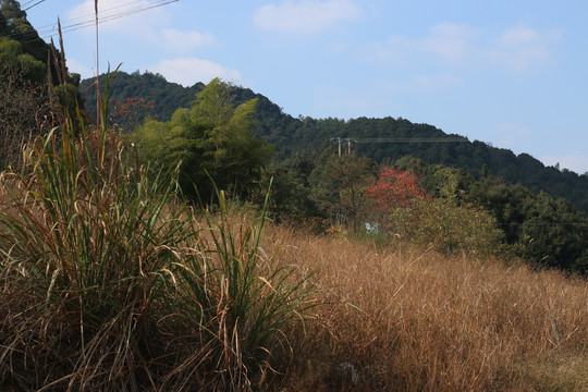 秋季的山野