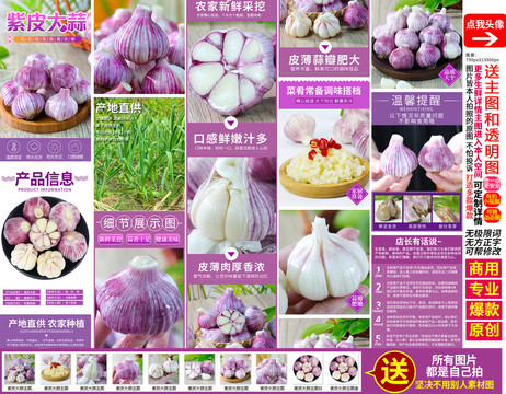 紫皮大蒜詳情頁(yè)主圖