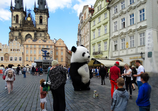 捷克布拉克熊猫玩偶