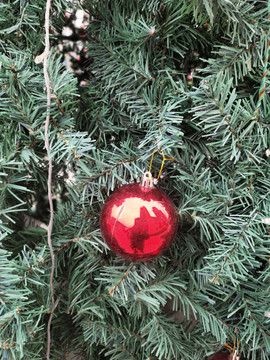 圣诞树上的红色球球