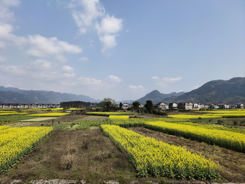 乡村田园风光