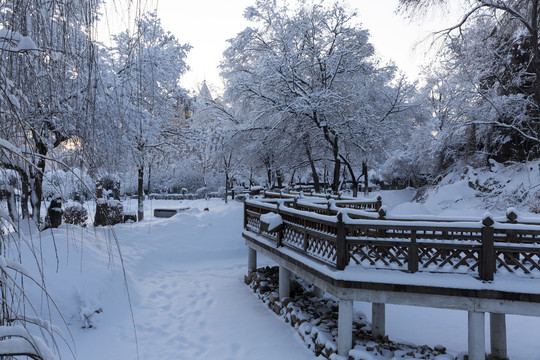 公园雪景