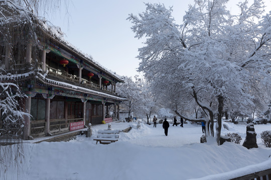 公园雪景