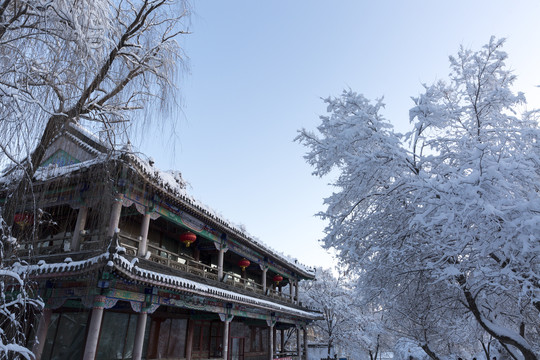 公园雪景