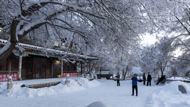 公园雪景