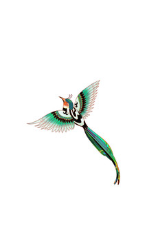 鳥(niǎo)