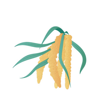 黃小米插畫