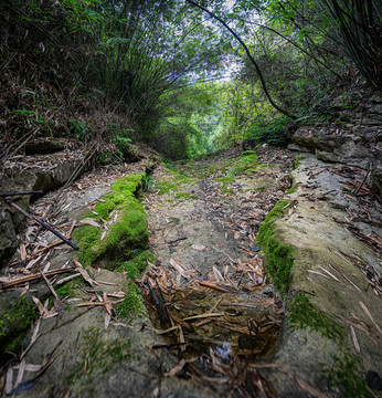 峡谷森林岩石自然风光