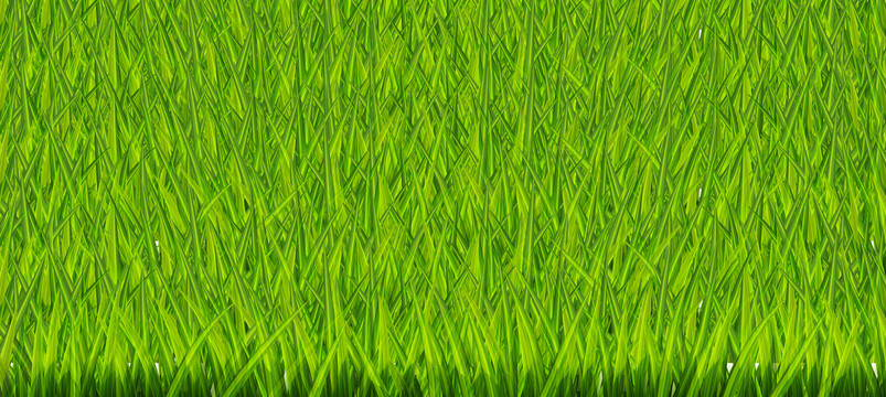 绿色草坪围挡