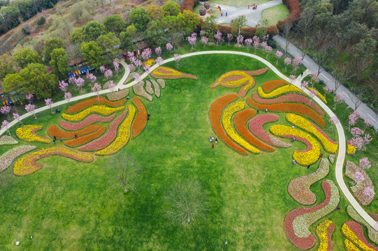 南昌凤凰沟郁金香花园