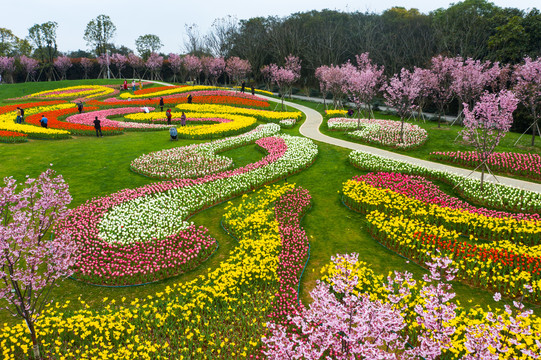 南昌凤凰沟郁金香花园