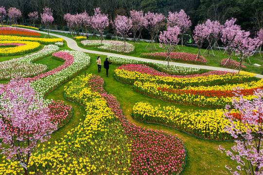 南昌凤凰沟郁金香花园