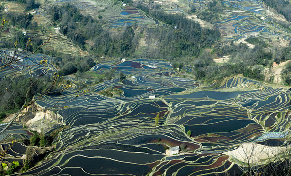 元阳梯田