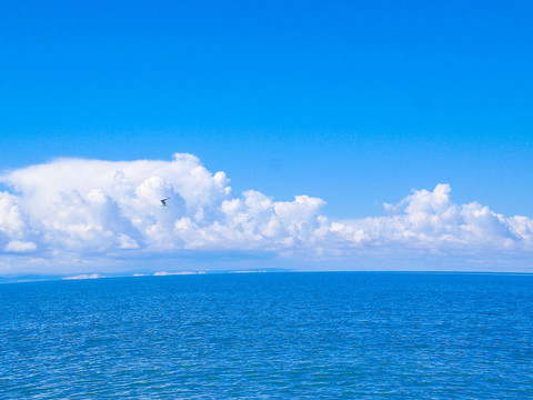 青海湖风光