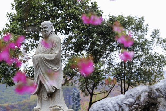 罗汉和樱花