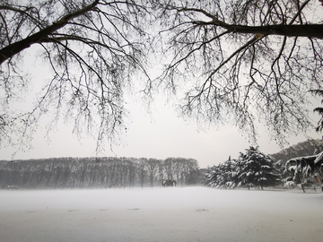 黄河迎宾馆雪景