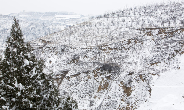 雪景