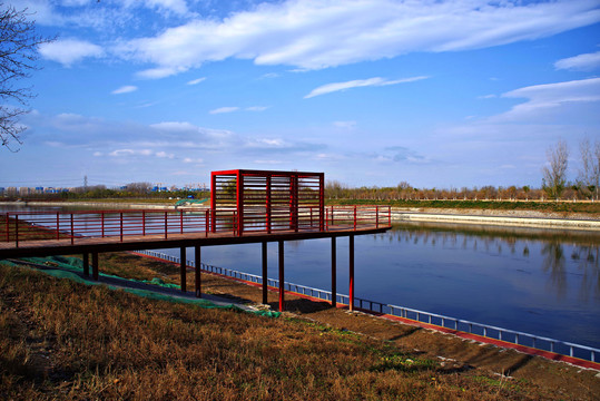 马驹桥湿地公园