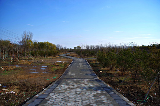 马驹桥湿地公园