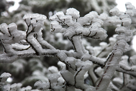 庐山冰雪世界