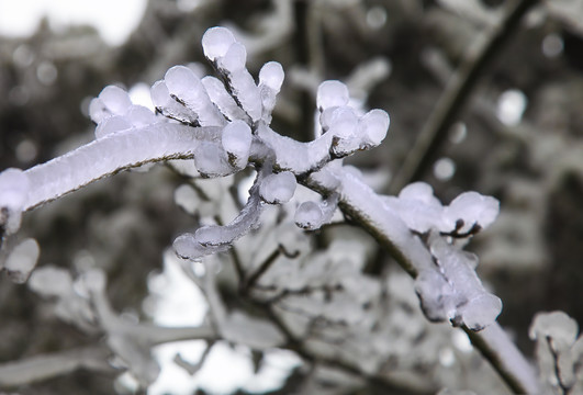 庐山冰雪世界