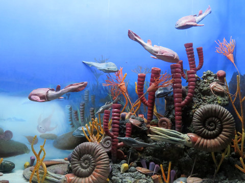 海洋古生物群落