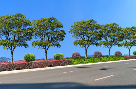 道路綠化景觀效果圖