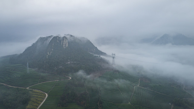 茶山风光