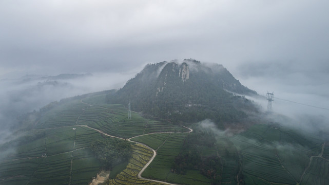 茶山