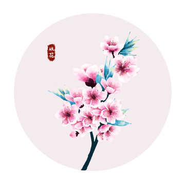 手繪植物桃花