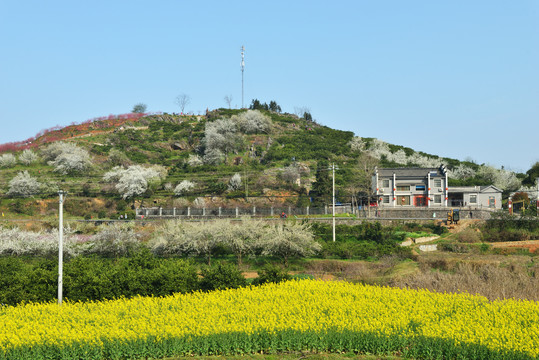 春天风景