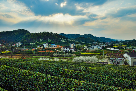 春天风景