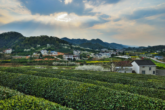 春天风景