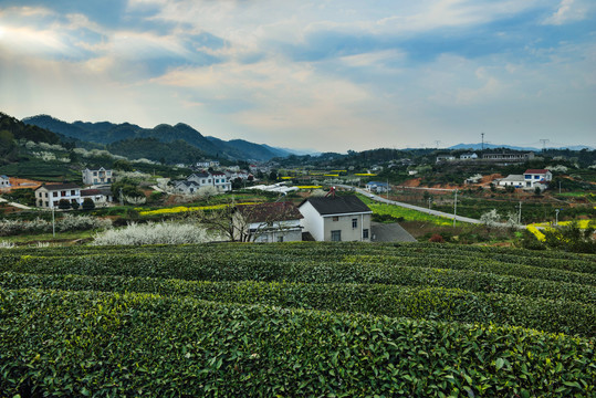 春天风景