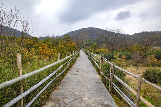 乌云密布的山区