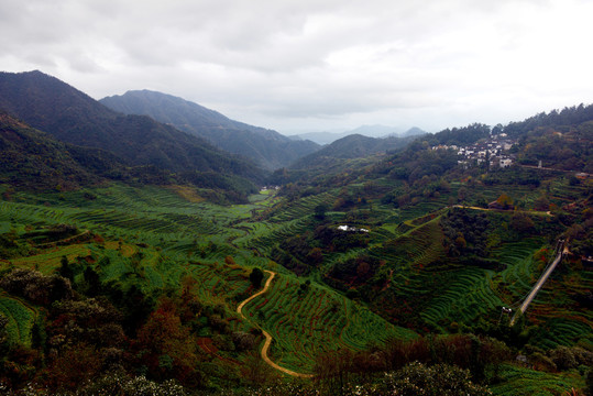 篁岭梯田