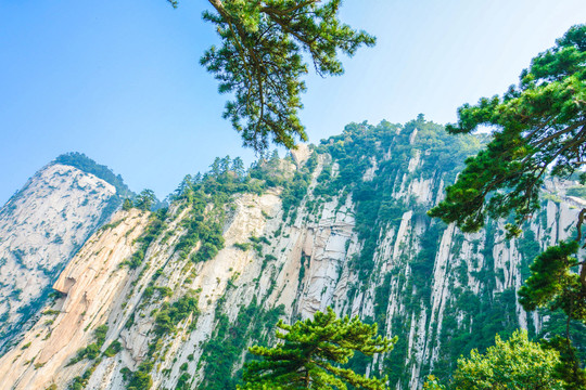 华山景区