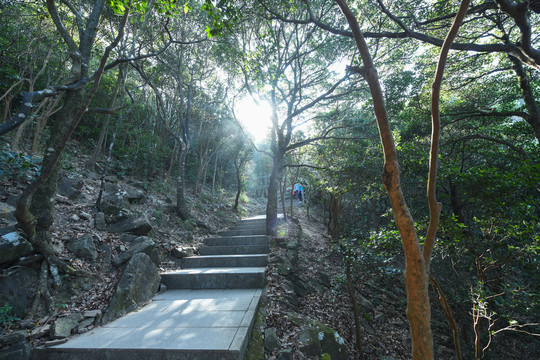 东莞第一峰登山道路