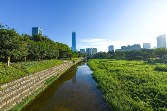 深圳中心公园平静的福田河