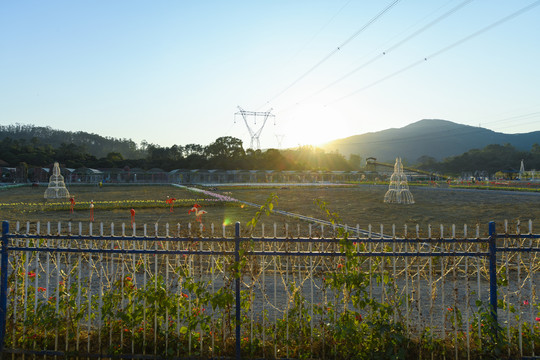 夕阳下花海种植基地