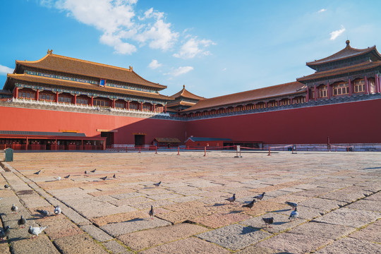 北京故宫午门和广场上的和平鸽