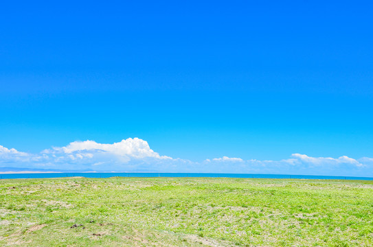 青海湖景区