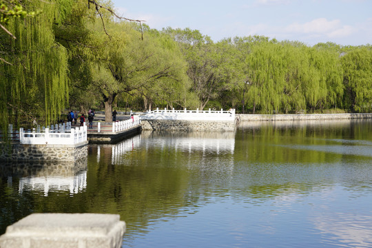 沈阳北陵公园春天湖边的景色