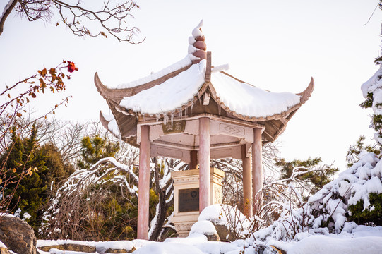 冬天佳亭积雪