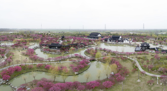 江苏省盐城市大丰梅花湾景区