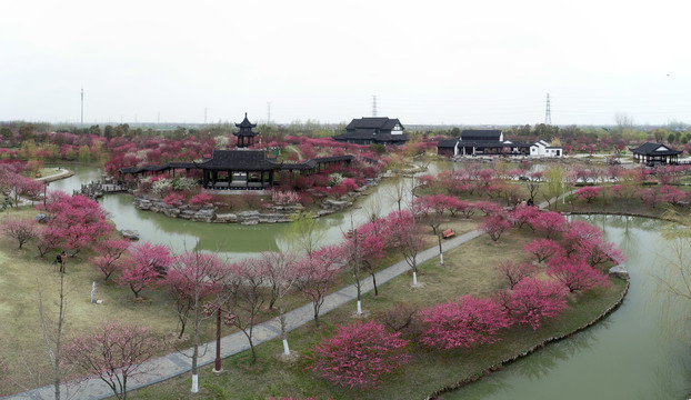 江苏省盐城市大丰梅花湾景区