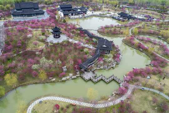 江苏省盐城市大丰梅花湾景区