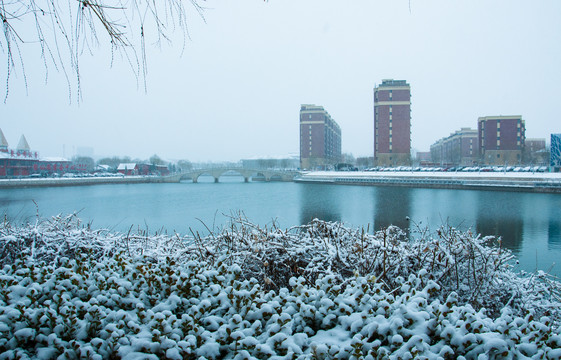 春雪