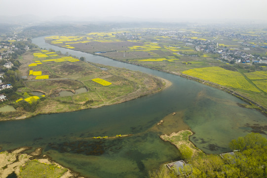 湖北松滋洈水油菜花